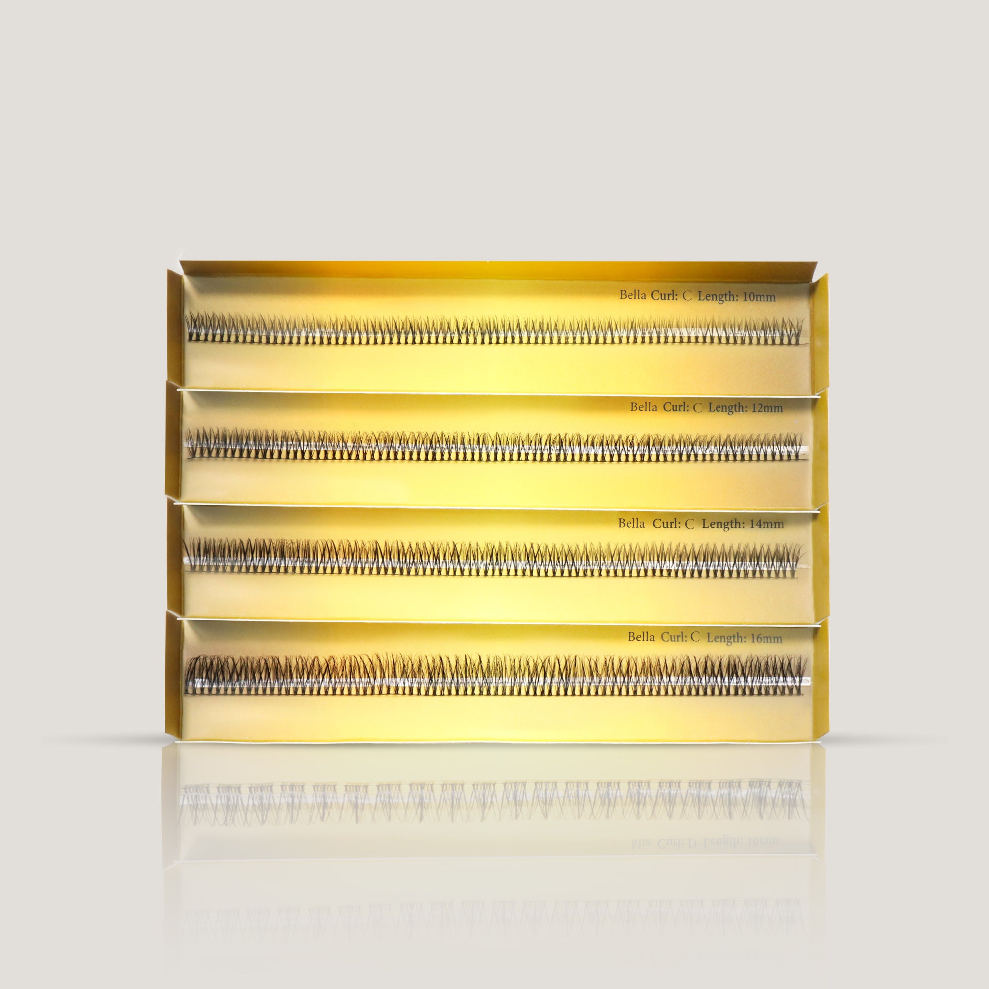 Ribbon Bella - Curl C