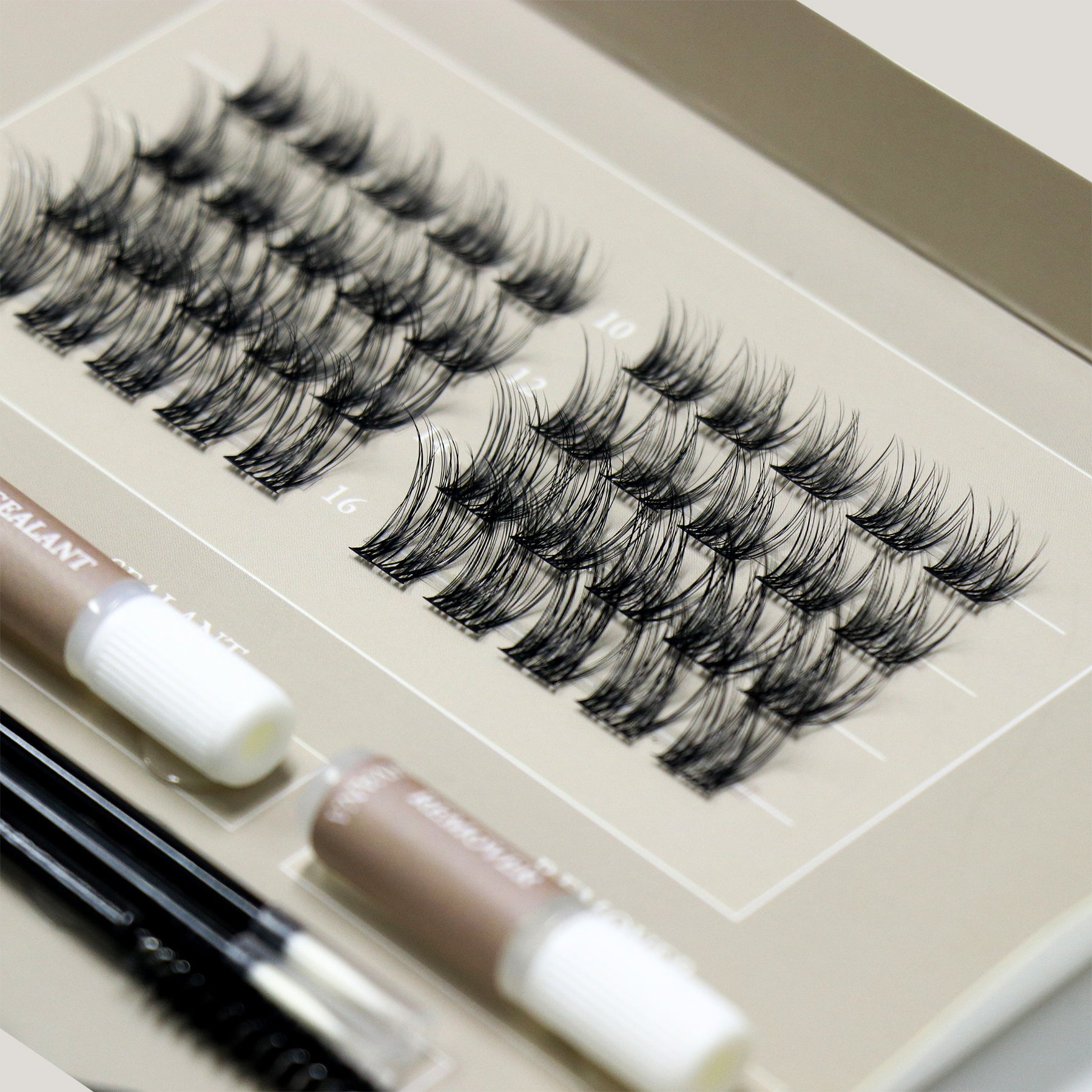 Classic Travel Edition