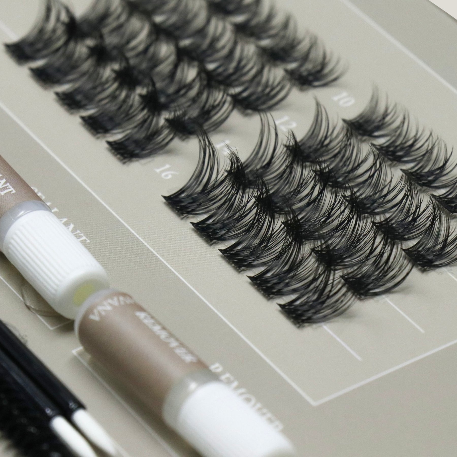 Volume Travel Edition