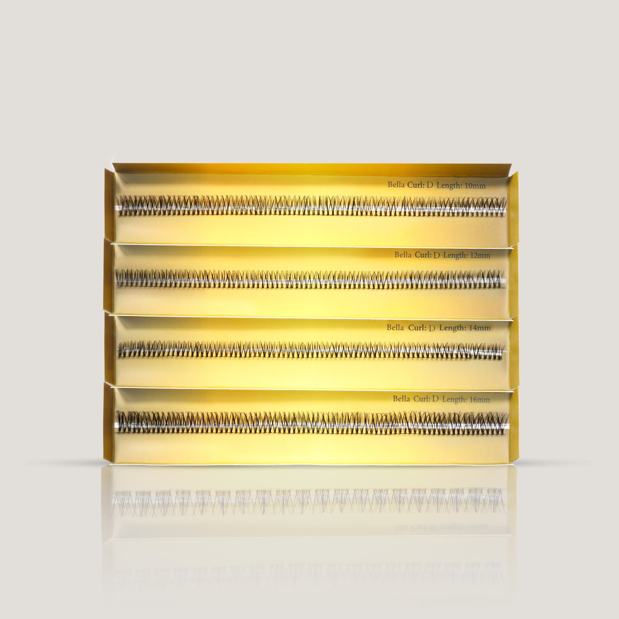 Ribbon Bella - Curl D