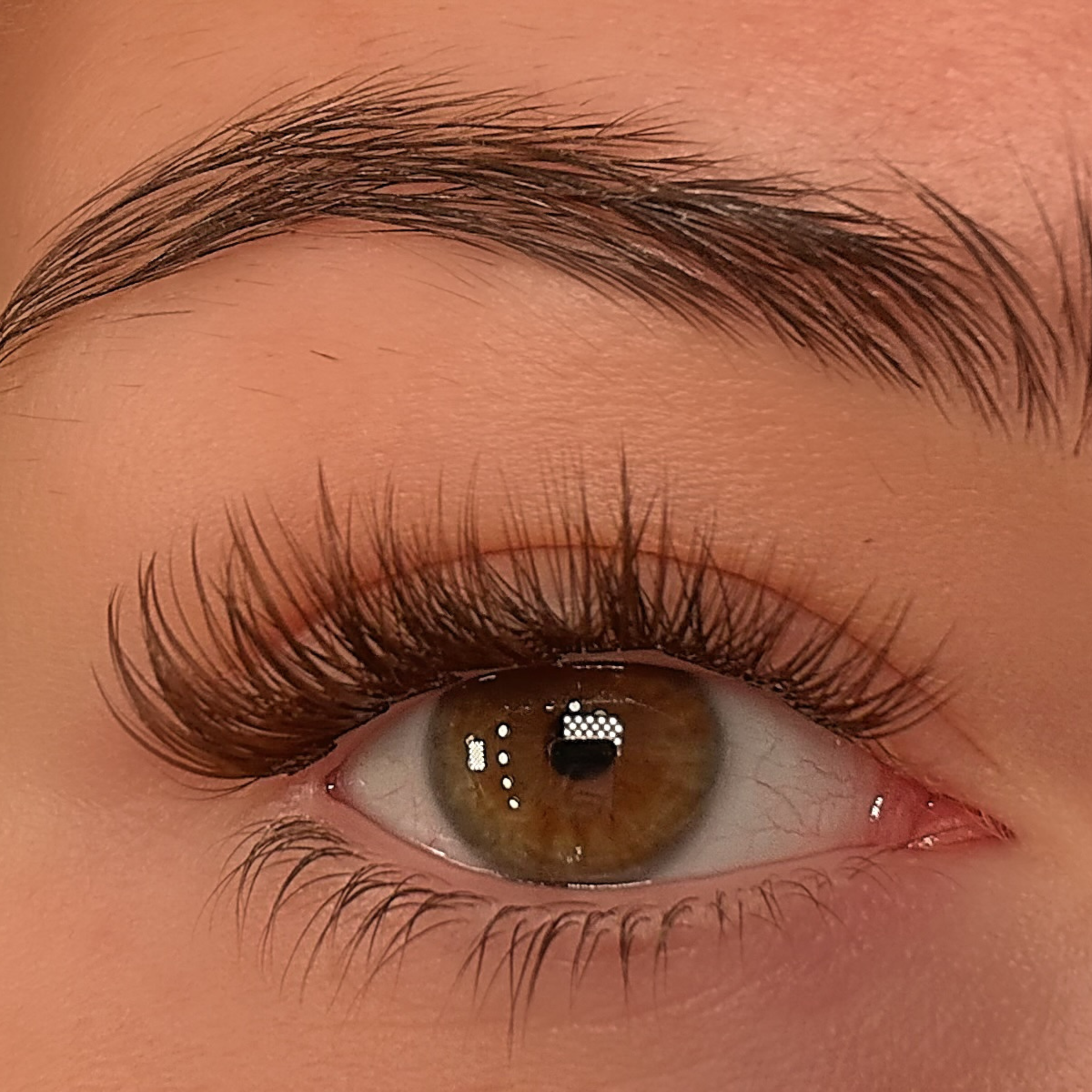 Espresso Augnhár (Brún)