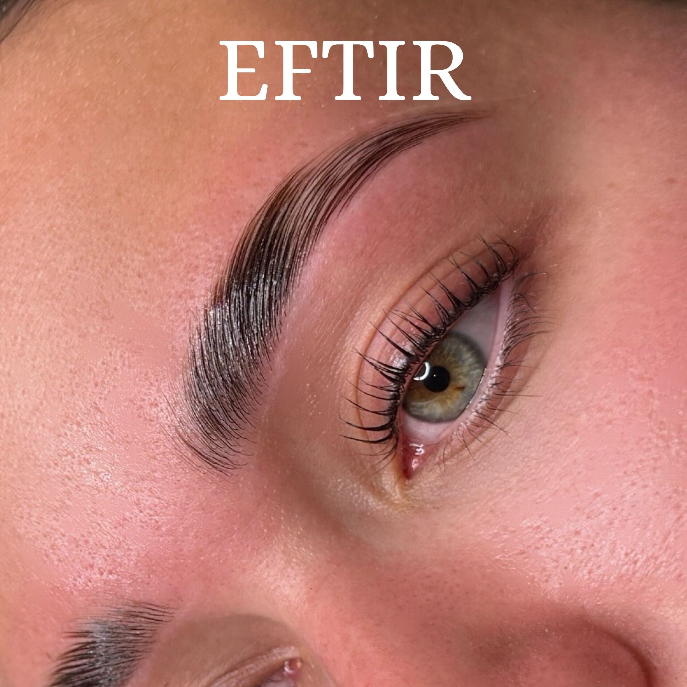 Thuya Augabrúnalitir