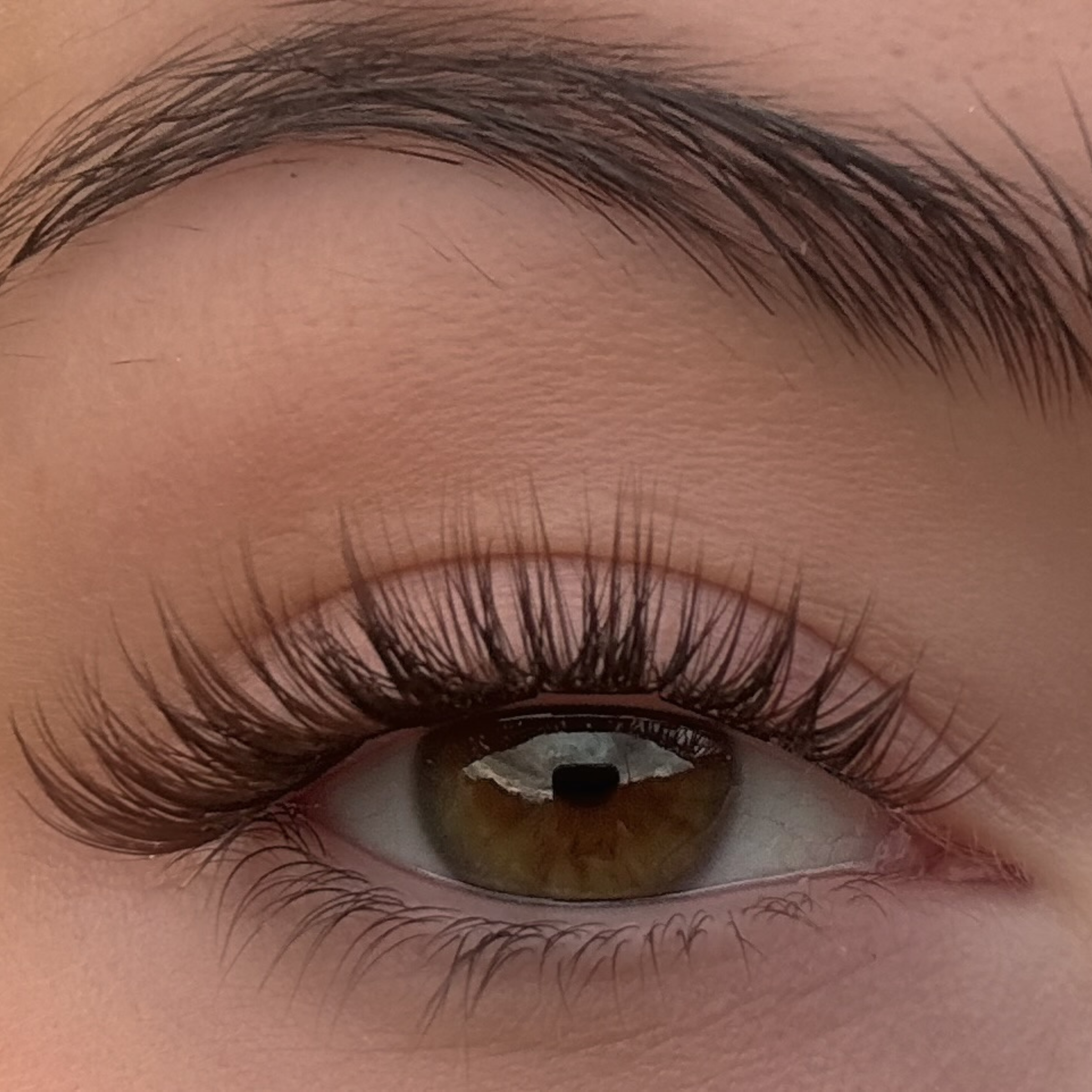 Espresso Augnhár (Brún)