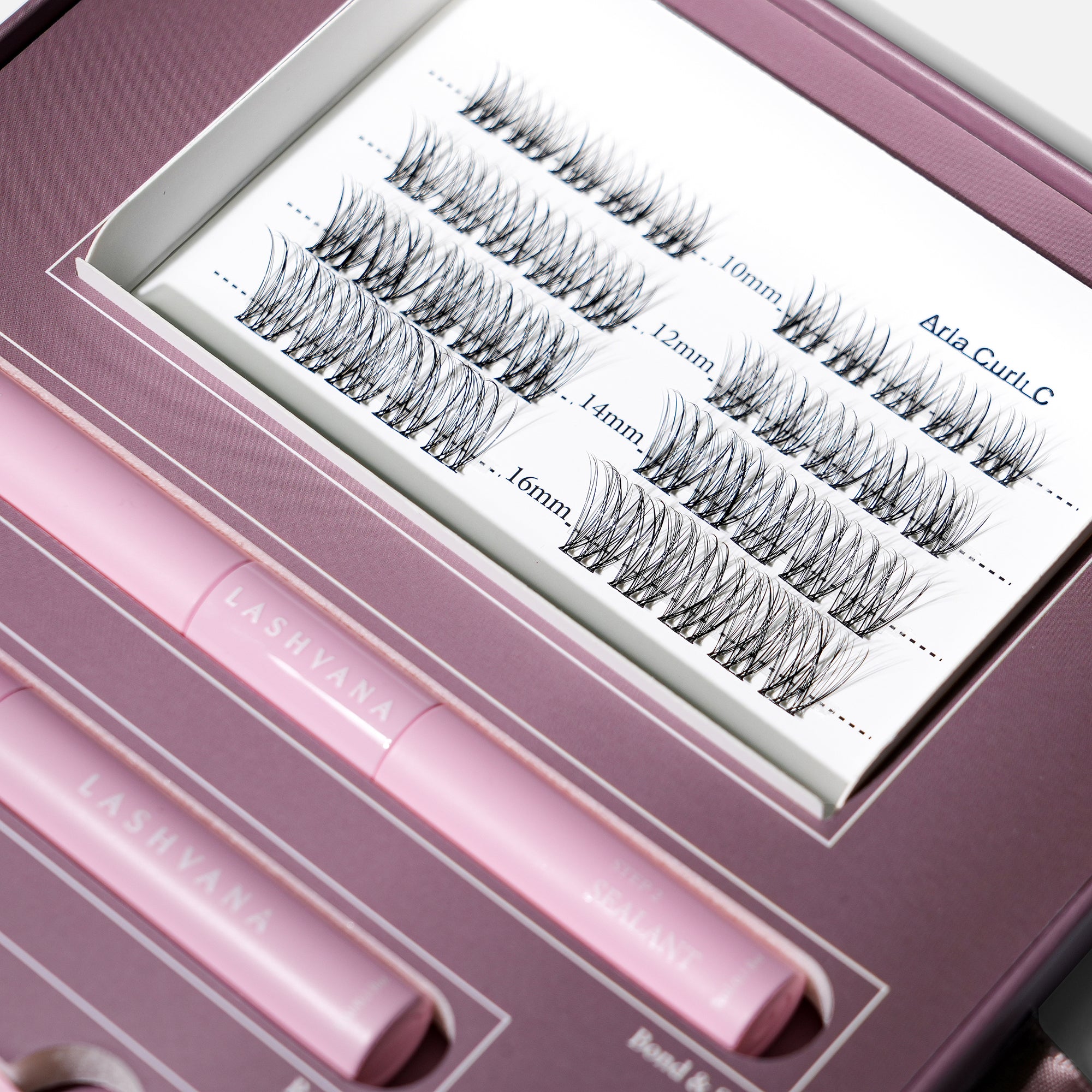 The Lash Edit