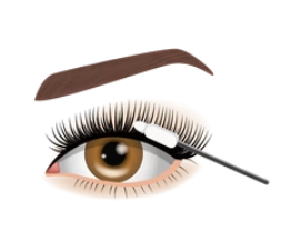 Apply sealant to the root of the eyelashes.