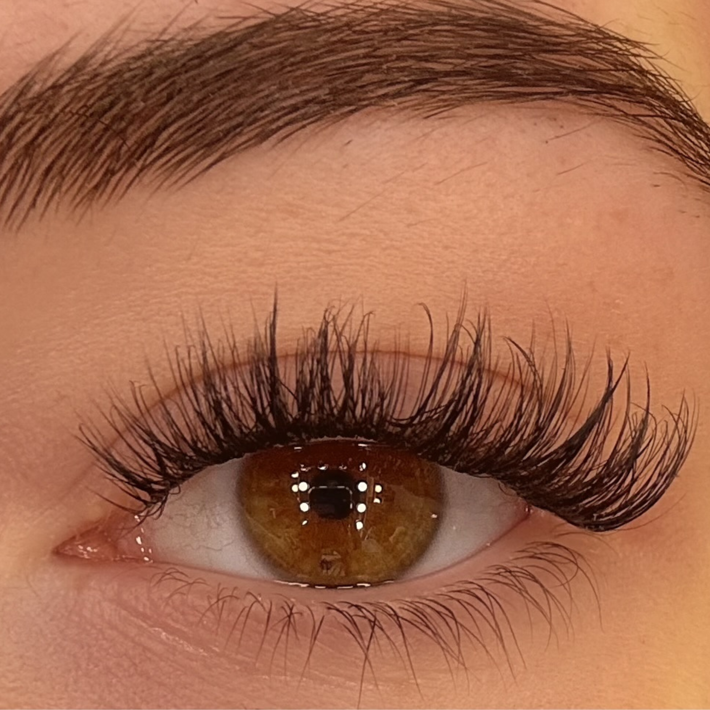 Christmas Edition'25